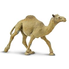 Safari ltd. dromedary for sale  Delivered anywhere in USA 