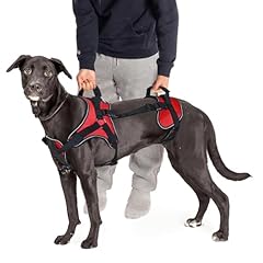Doggie stylz multi for sale  Delivered anywhere in USA 