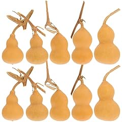 Pcs mini gourd for sale  Delivered anywhere in USA 