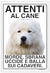 Maremmano cane pastore usato  Spedito ovunque in Italia 