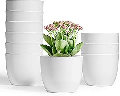 T4u vaso fiori usato  Spedito ovunque in Italia 