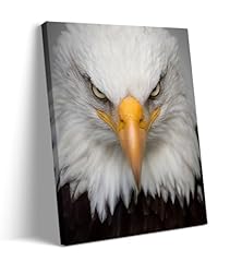 Framed eagle head for sale  Delivered anywhere in USA 