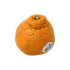 Mandarin dekopon for sale  Delivered anywhere in USA 