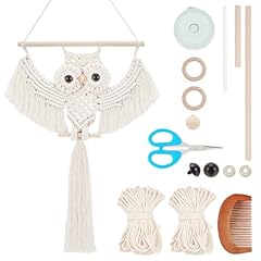 Acrnigheet diy owl for sale  Delivered anywhere in USA 