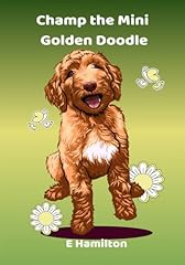 Champ mini golden for sale  Delivered anywhere in USA 
