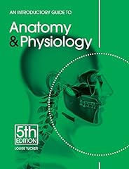 Introductory guide anatomy for sale  Delivered anywhere in Ireland
