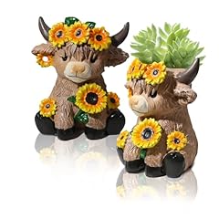 Cute highland cow for sale  Delivered anywhere in USA 