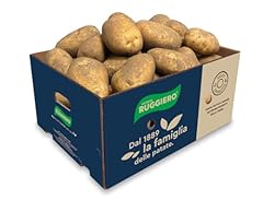 Patate fresche medium usato  Spedito ovunque in Italia 
