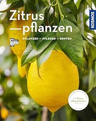 Zitruspflanzen gestalten pflan gebraucht kaufen  Wird an jeden Ort in Deutschland