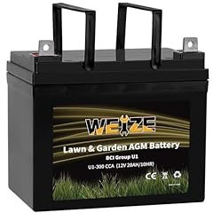 Weize lawn garden for sale  Delivered anywhere in USA 