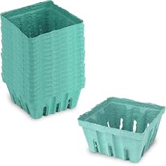 Products green berry for sale  Delivered anywhere in USA 