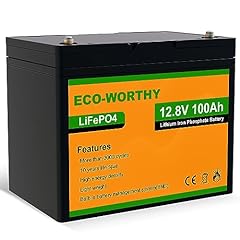 Eco worthy 100ah for sale  Delivered anywhere in UK