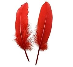 Goose feathers 8 for sale  Delivered anywhere in Ireland