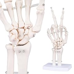Lvchen human skeleton for sale  Delivered anywhere in UK