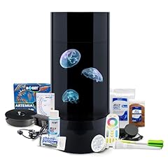Jellyfish art jelly for sale  Delivered anywhere in USA 