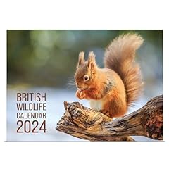 Wildlife calendar 2024 for sale  Delivered anywhere in UK