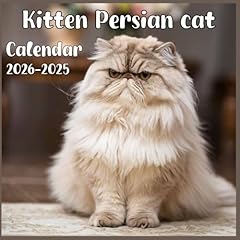 Kitten persian cat for sale  Delivered anywhere in USA 