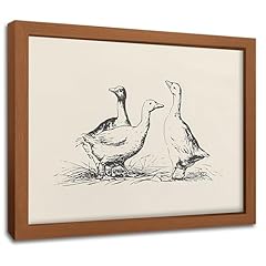 Framed vintage duck for sale  Delivered anywhere in USA 