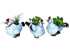 Chicken planters small for sale  Delivered anywhere in USA 