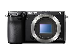 Sony nex 24.3mp for sale  Delivered anywhere in Ireland