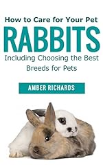 Care pet rabbits for sale  Delivered anywhere in USA 