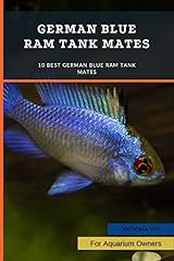 German blue ram for sale  Delivered anywhere in UK