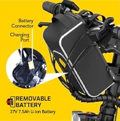 Swagtron ebike battery for sale  Delivered anywhere in USA 