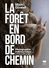 Forêt bord chemin d'occasion  Livré partout en France