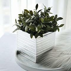 Efavormart pack silver for sale  Delivered anywhere in USA 