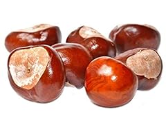 conkers for sale  Delivered anywhere in UK
