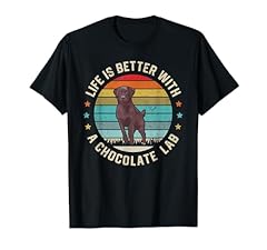 Chocolate lab dog for sale  Delivered anywhere in USA 