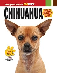 Chihuahua d'occasion  Livré partout en France