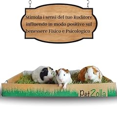 Petzolla coniglio originale usato  Spedito ovunque in Italia 