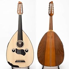 Professional electric oud for sale  Delivered anywhere in USA 