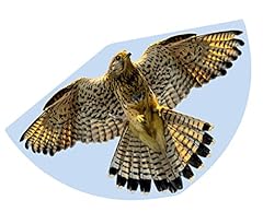 Günther flugspiele 1230 gebraucht kaufen  Wird an jeden Ort in Deutschland