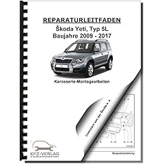 Skoda yeti 2009 gebraucht kaufen  Wird an jeden Ort in Deutschland