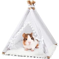 Wenqik guinea pig for sale  Delivered anywhere in USA 