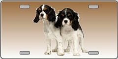 2162 cavalier king for sale  Delivered anywhere in UK