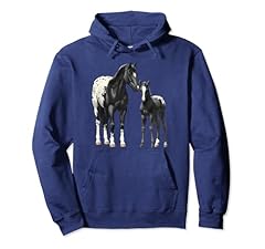 Beautiful black appaloosa for sale  Delivered anywhere in USA 