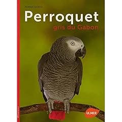 Perroquet gris gabon d'occasion  Livré partout en Belgiqu