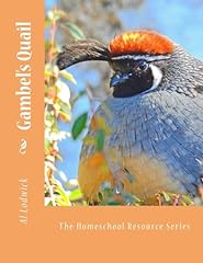 Gambel quail homeschool for sale  Delivered anywhere in UK