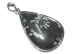 Pendentif orthoceras fossile d'occasion  Livré partout en France