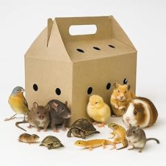 Disposable pet carriers for sale  Delivered anywhere in USA 