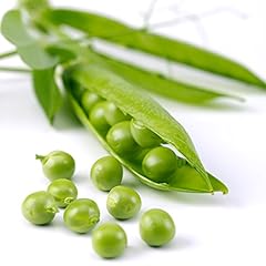 Pea petit pois for sale  Delivered anywhere in UK