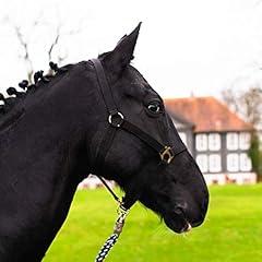 Halfter pferd warmblut gebraucht kaufen  Wird an jeden Ort in Deutschland