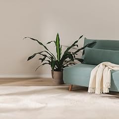 Benuta tapis fourrure d'occasion  Livré partout en Belgiqu