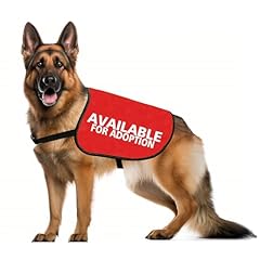 Jxgzso adopted dog for sale  Delivered anywhere in USA 