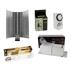 Kit lampada 250 usato  Spedito ovunque in Italia 