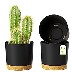 Zmtech pots fleurs d'occasion  Livré partout en France