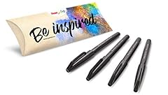Pentel arts brush d'occasion  Livré partout en France